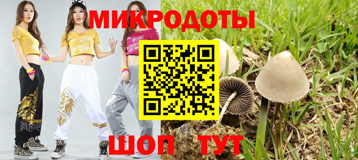 Псилоцибиновые грибы Psilocybe  Вход с VPN  Карасук 