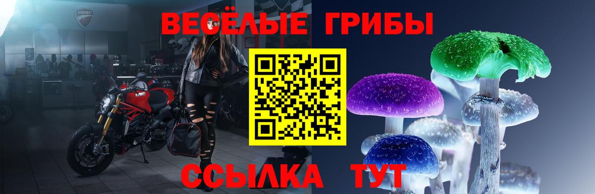 Псилоцибиновые грибы мицелий Карасук
