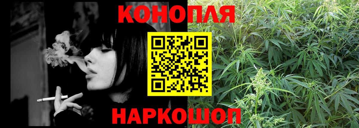 Шишки марихуана сатива  Канабис планчик  Вход с VPN  Карасук  Марихуана MAZAR 